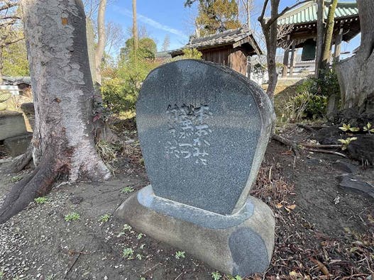 加須の古刹 大銀杏の寺 龍蔵寺