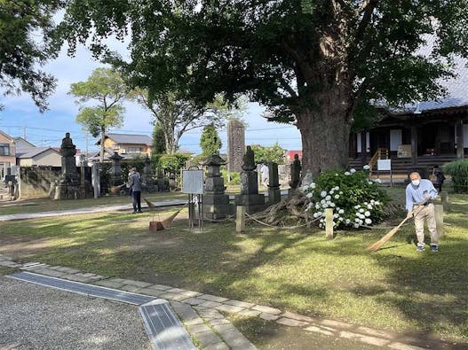 加須の古刹 大銀杏の寺 龍蔵寺