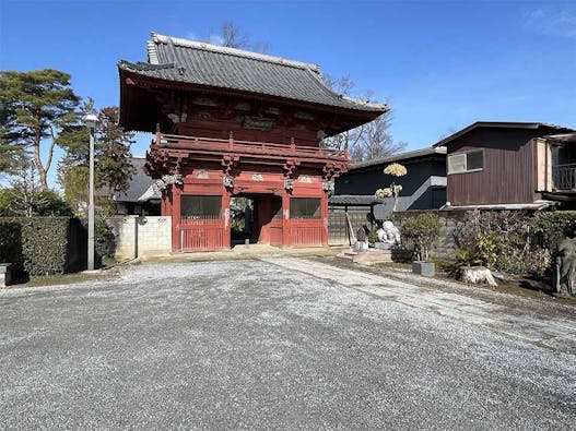 加須の古刹 大銀杏の寺 龍蔵寺