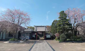 妙高山 法栄寺(流山市駒木台)の霊園