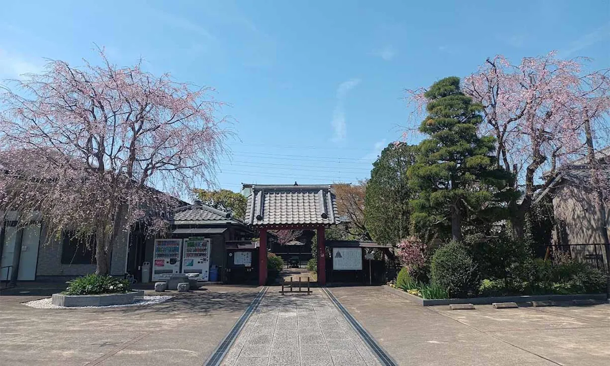 妙高山 法栄寺(流山市駒木台)の霊園