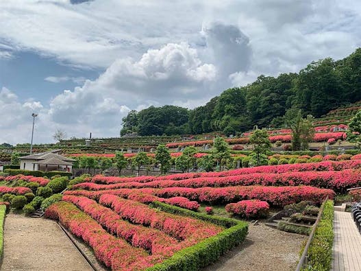 築地本願寺 西多摩霊園 やすらぎ合同墓