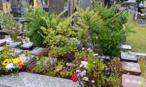 プレミアム湘南辻堂駅前樹木葬墓地