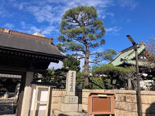 プレミアム湘南辻堂駅前樹木葬墓地