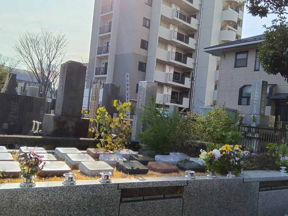 プレミアム湘南辻堂駅前樹木葬墓地