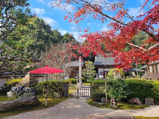 雲樹寺 のうこつぼ