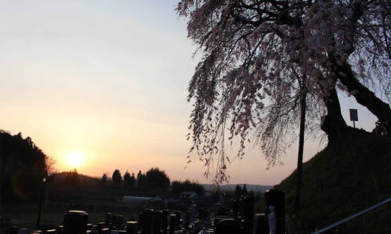 慶雲院墓苑 永代供養付き墓地・樹木葬