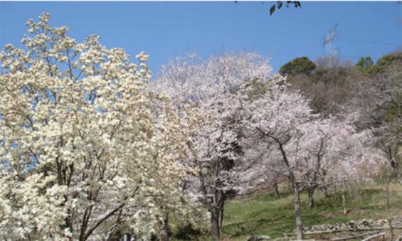 地藏院墓苑