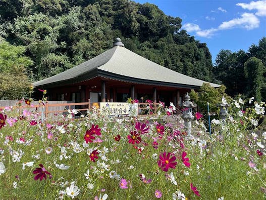 御橋観音寺 のうこつぼ