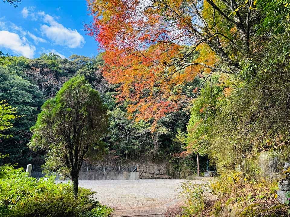 御橋観音寺 のうこつぼ