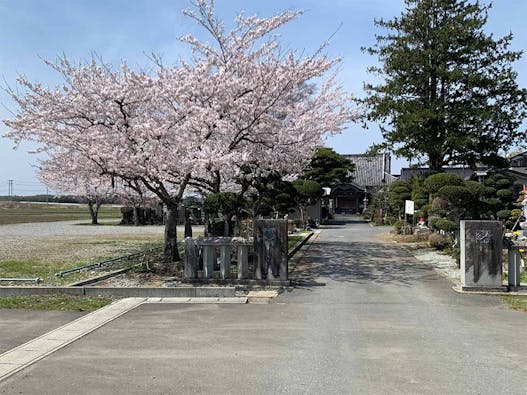 東周院墓苑 永代供養付き墓地