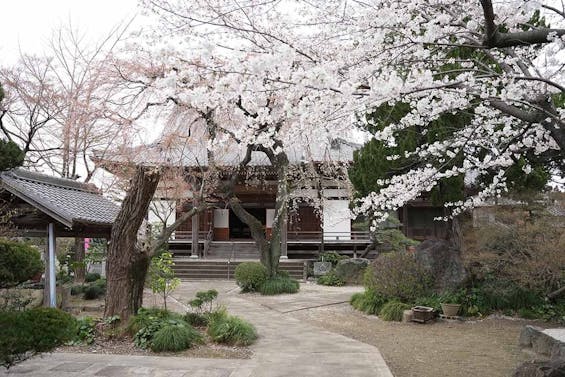 一宮さくら彩苑