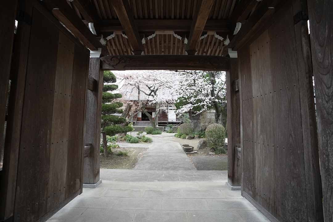 一宮さくら彩苑 境内
