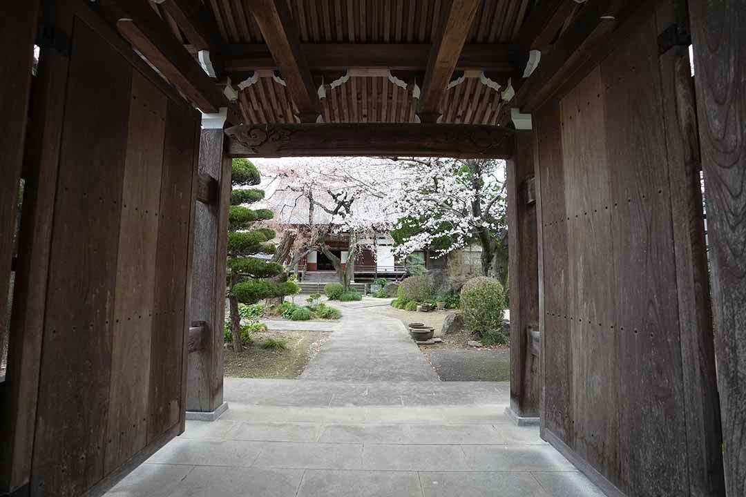 一宮さくら彩苑