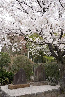 一宮さくら彩苑