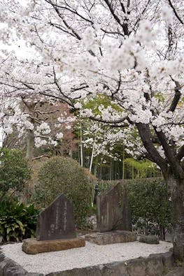 一宮さくら彩苑
