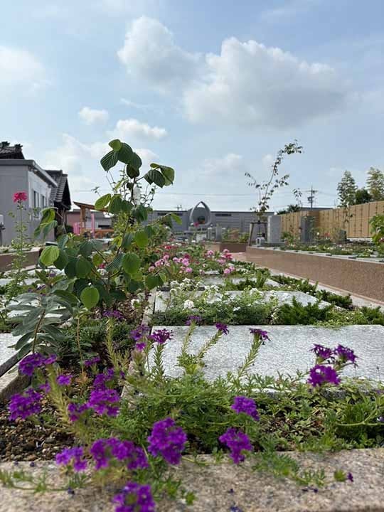 一宮さくら彩苑