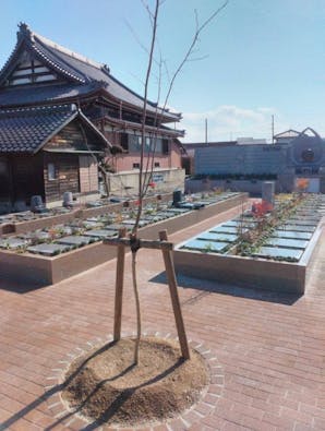 一宮さくら彩苑