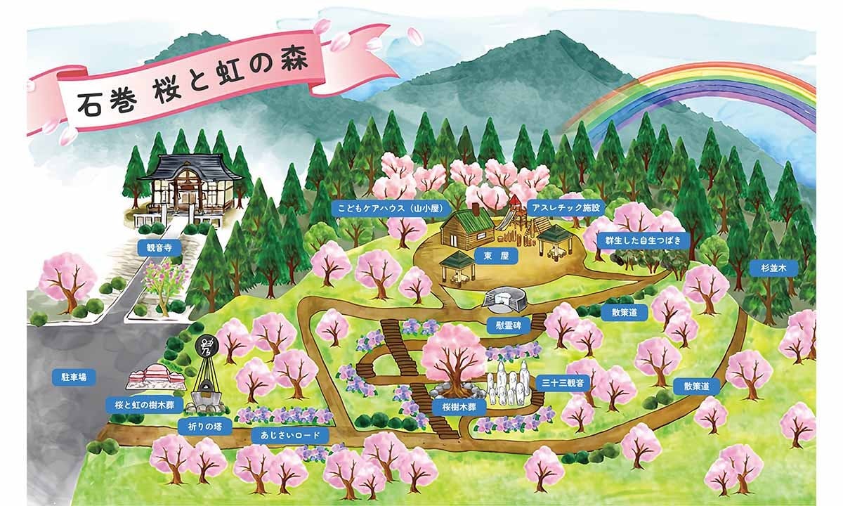 石巻桜と虹の樹木葬の画像