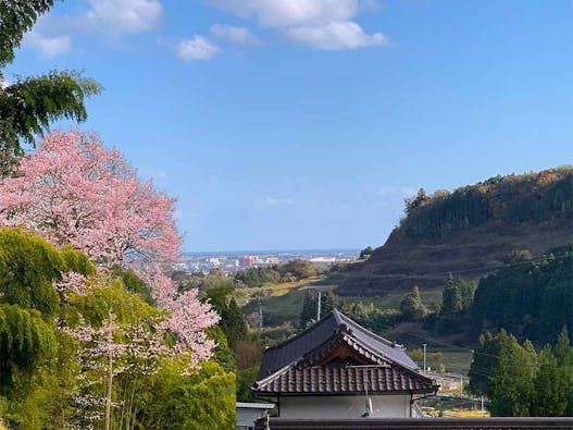 洞林寺 みはらしの丘