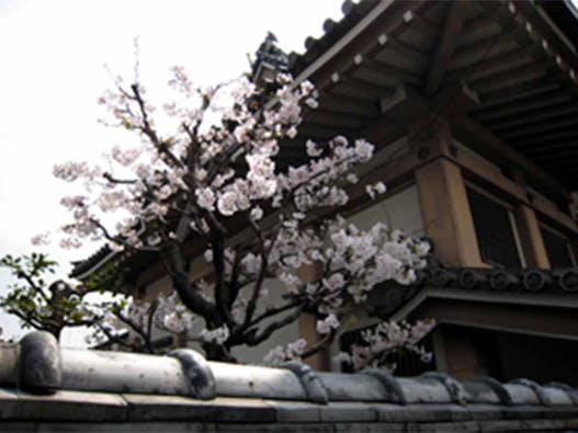 称名寺西京極駅前墓地