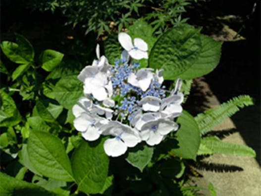 称名寺西京極駅前墓地