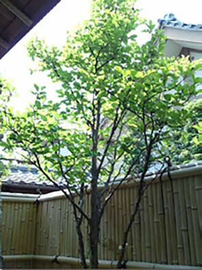 称名寺西京極駅前墓地