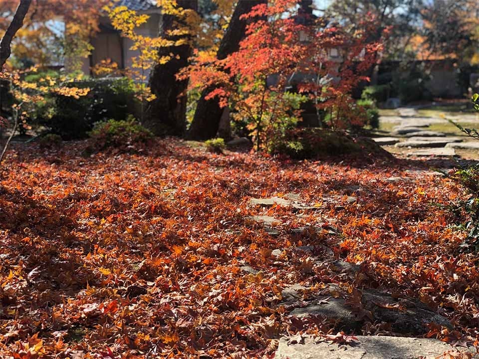順教寺永代供養合同墓(境内納骨堂)