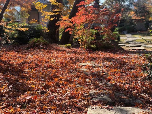 順教寺永代供養合同墓(境内納骨堂)