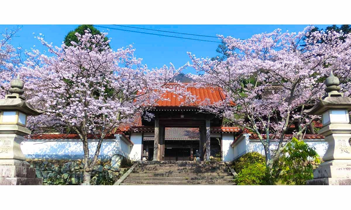 順教寺永代供養合同墓(境内納骨堂)