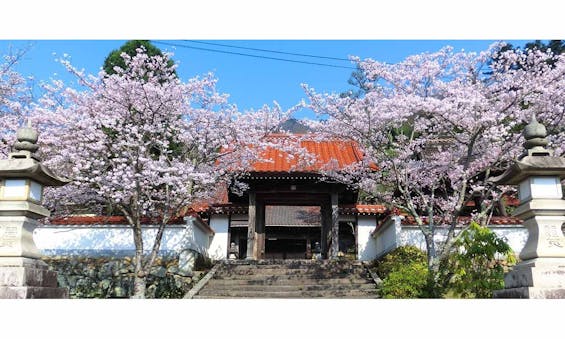 順教寺永代供養合同墓(境内納骨堂)