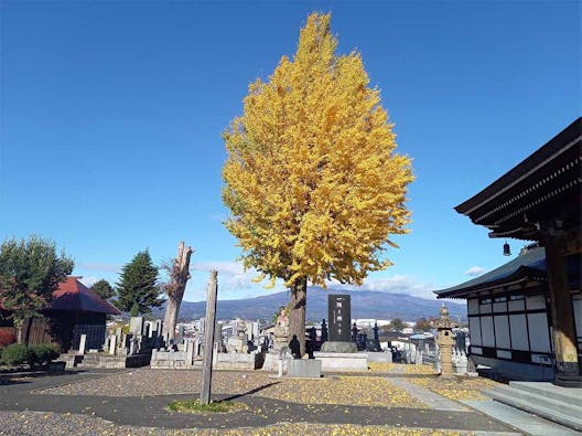 高木寺本堂墓地(舟場墓地)