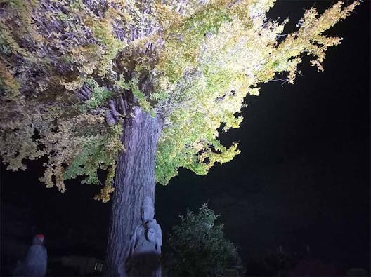 高木寺本堂墓地(舟場墓地)