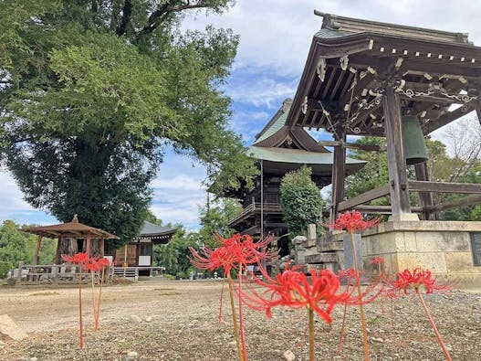 壬生樹木葬墓地