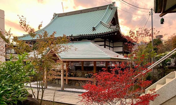 巣鴨霊園 陽の葉や