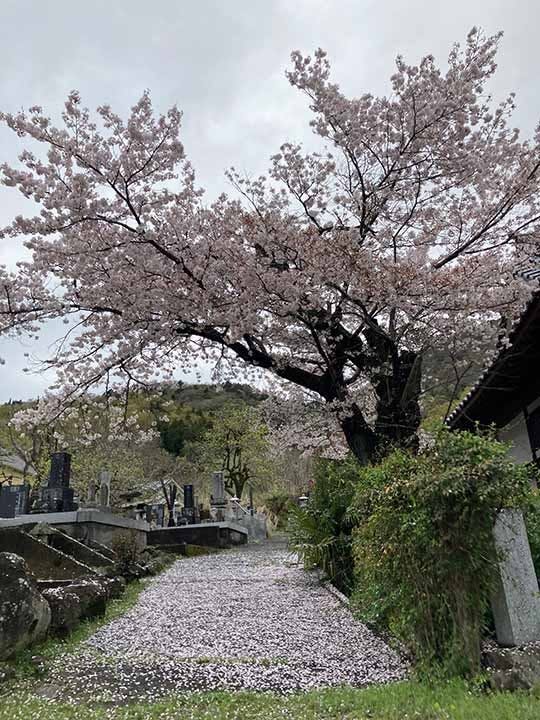 身延供養の里霊園の画像
