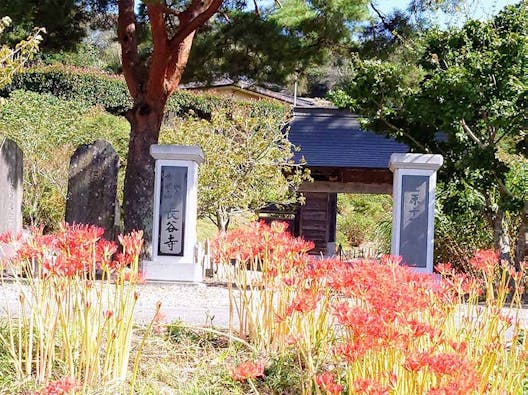 ひがんばな墓苑