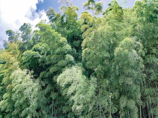 鹿沼、宇都宮 いちょうの郷圓満寺