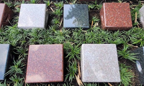 鹿沼、宇都宮 いちょうの郷圓満寺