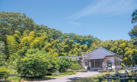 鹿沼、宇都宮 いちょうの郷圓満寺