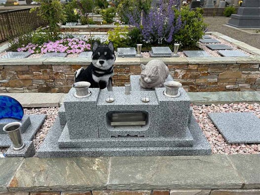 樹木想 福照 ~ふくてらす~