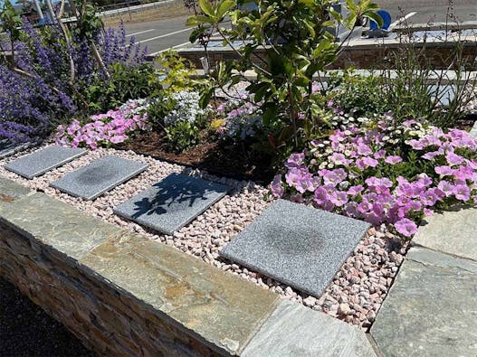 樹木想 福照 ~ふくてらす~