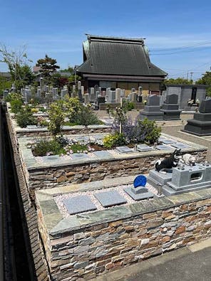 樹木想 福照 ~ふくてらす~