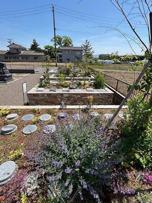 樹木想 福照 ~ふくてらす~