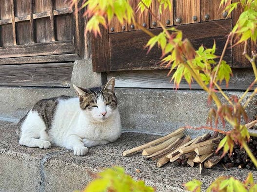 藥王寺 のうこつぼ