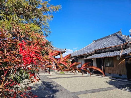 柳福寺 のうこつぼ