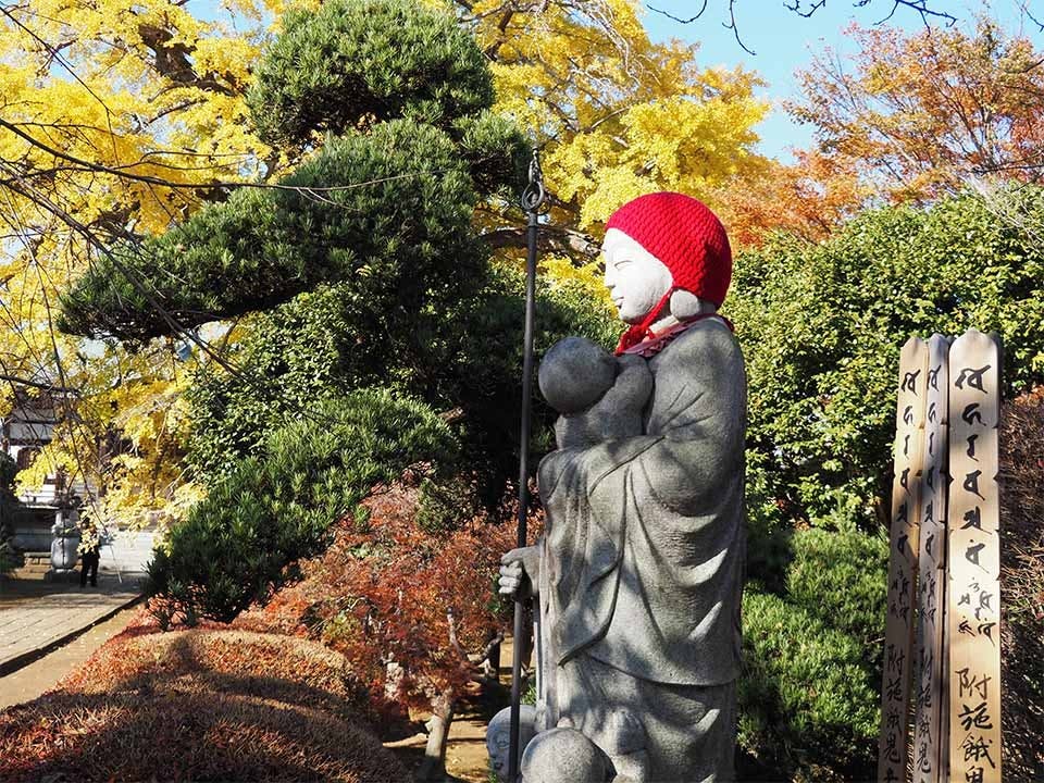 円蔵院 桜華苑