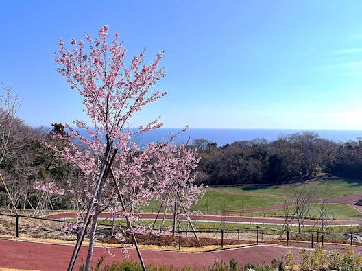 千の花咲く海辺の丘 はなうたガーデン -伊東-