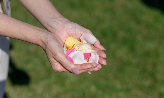 千の花咲く海辺の丘 はなうたガーデン -伊東-