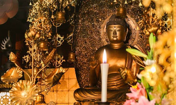 十念寺霊園 樹木葬・永代供養墓